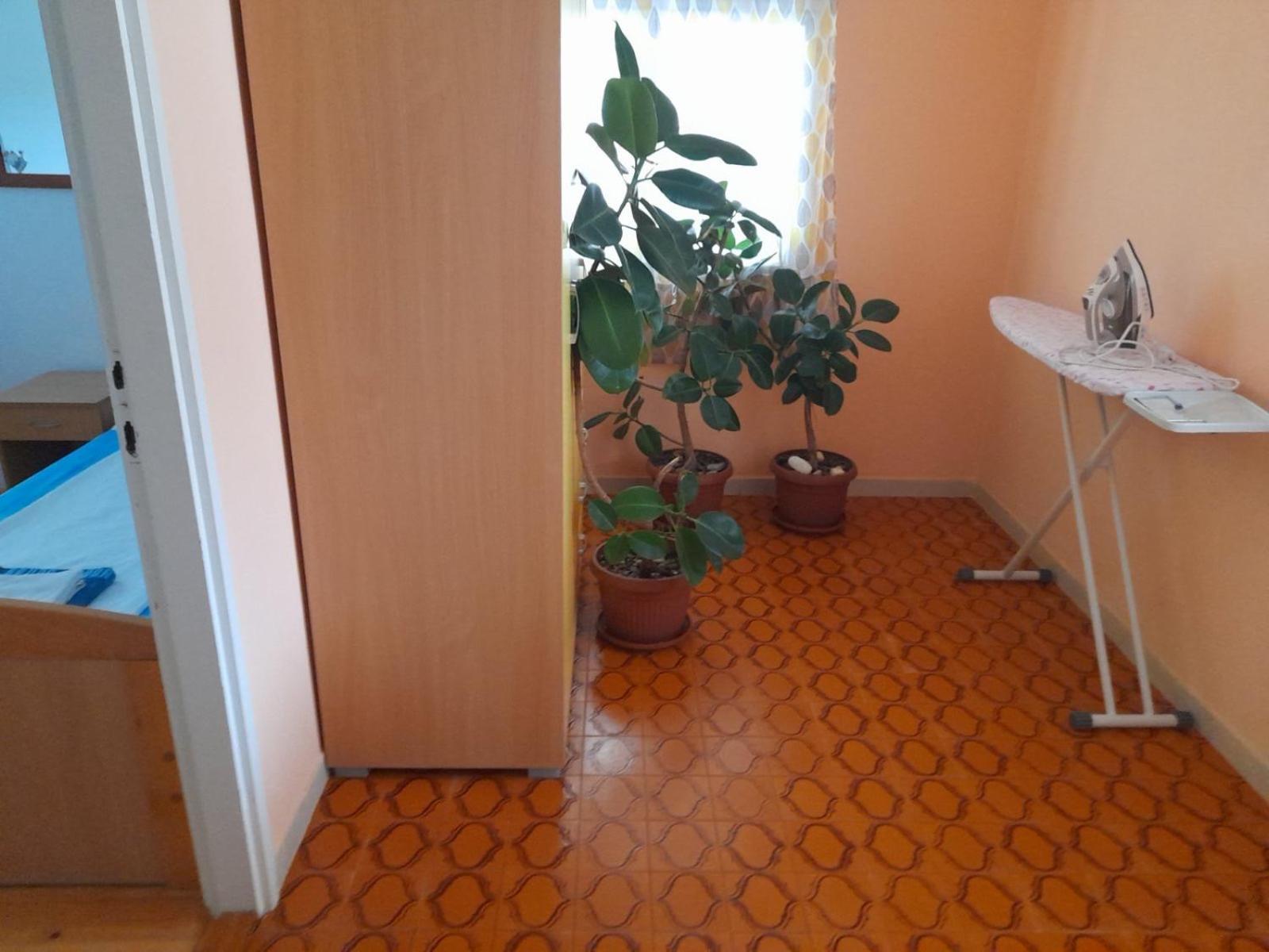 Anita Guest House تيفات المظهر الخارجي الصورة